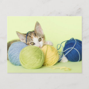 Postal Kitten Jugando Al Yarn
