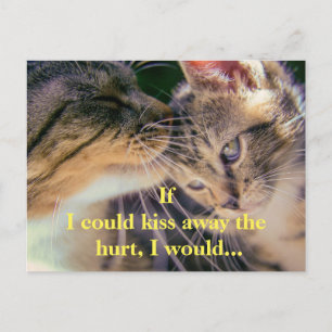 Postal Kitten Kiss se recuperan