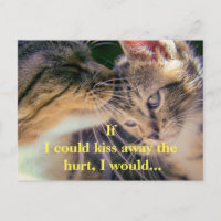 Kitten Kiss se recuperan