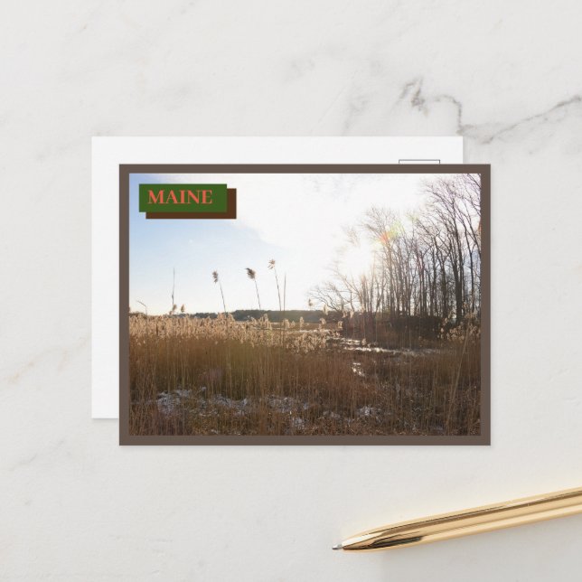 Postal Kittery Brown Seapoint Beach Maine Nature (Anverso/Reverso In Situ)