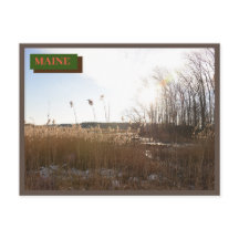 Kittery Brown Seapoint Beach Maine Nature