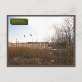 Postal Kittery Brown Seapoint Beach Maine Nature