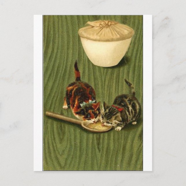 Postal Kitty (Anverso)