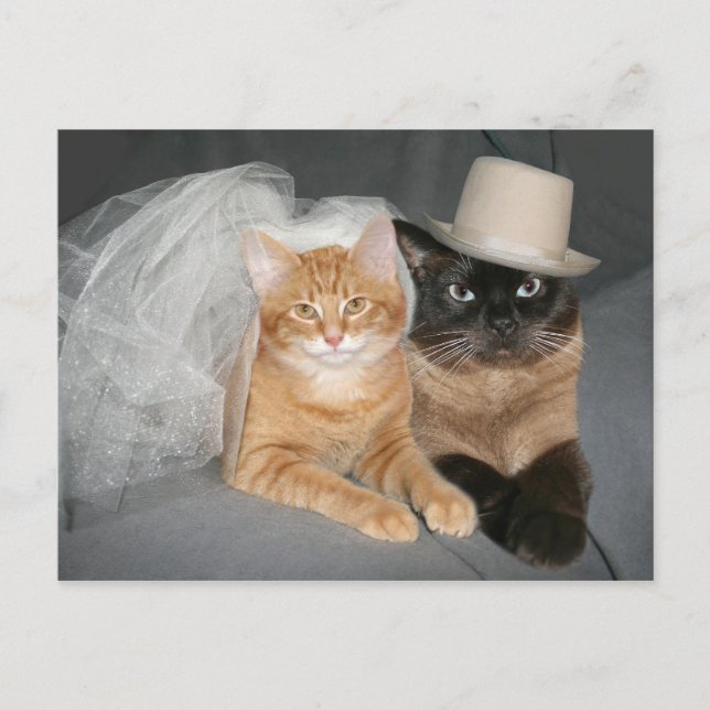 Postal Kitty Bride y Groom (Anverso)