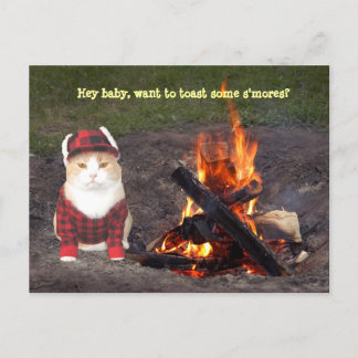 Postal Kitty Campfire