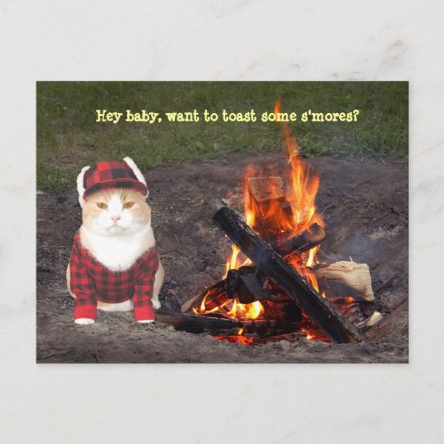 Postal Kitty Campfire (Anverso)
