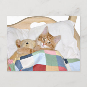 Postal Kitty durmiendo con Teddy