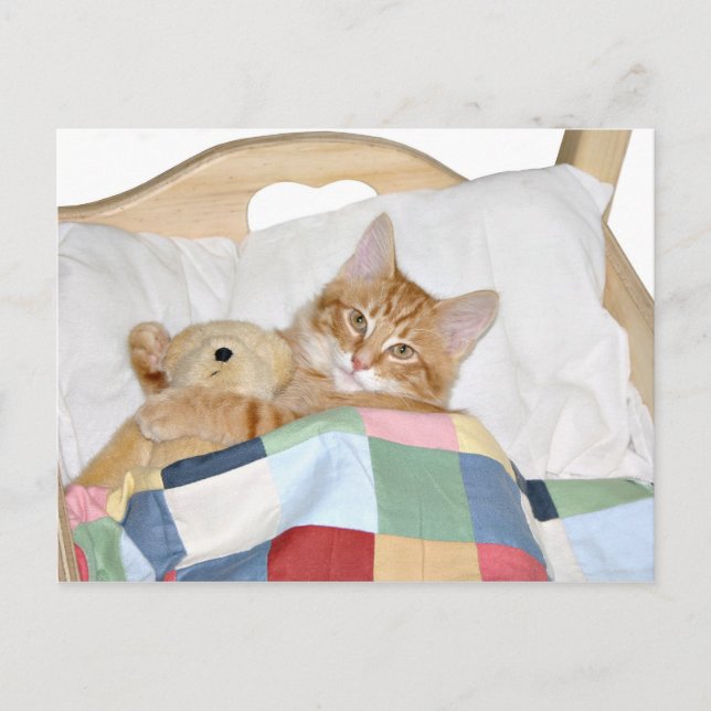 Postal Kitty durmiendo con Teddy (Anverso)
