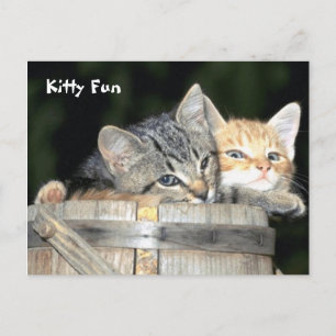 Postal Kitty Fun