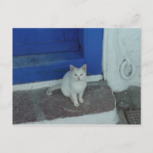 Postal Kitty griego (Anverso)