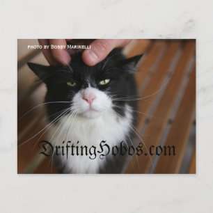 Postal Kitty Hobo