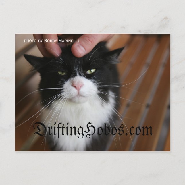 Postal Kitty Hobo (Anverso)