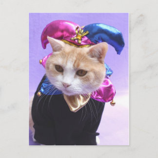 Postal Kitty Jester