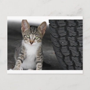 Postal Kitty.JPG