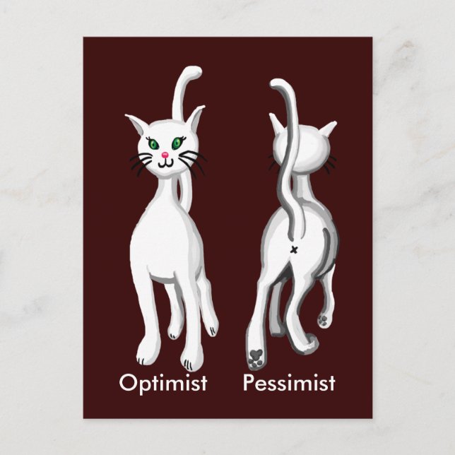 Postal Kitty Kitty (Anverso)