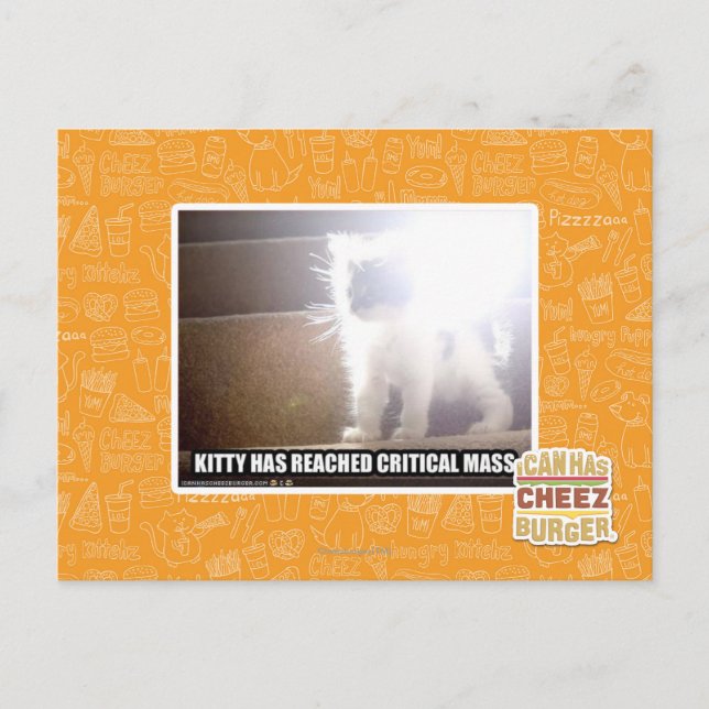 Postal Kitty Masa Crítica (Anverso)