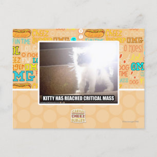 Postal Kitty Masa Crítica
