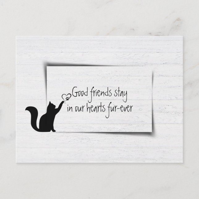 Postal Kitty Mascota: Pérdida de simpatía por parte de ve (Anverso)