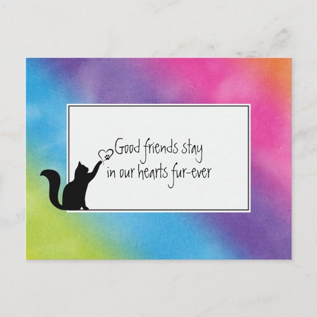 Postal Kitty Mascota pierde la simpatía de Vet (Anverso)