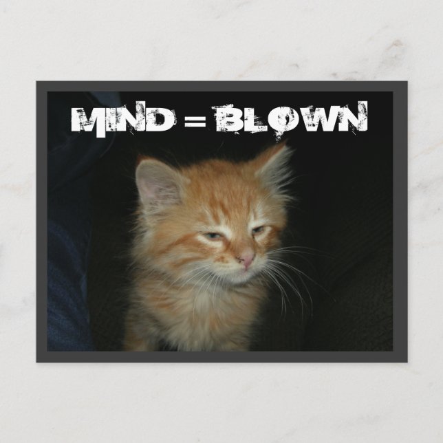 Postal Kitty "MIND = BLOWN" (Anverso)