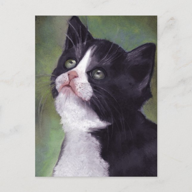 Postal Kitty Mirando Hacia Arriba: Gato en el Pastel de a (Anverso)