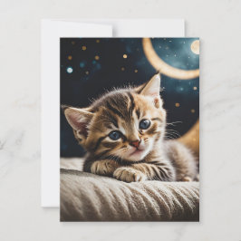 Postal Kitty Moonlight
