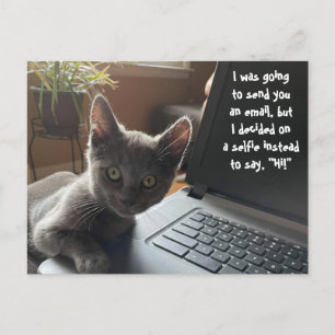 POSTAL KITTY SELFIE HELLO