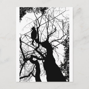 POSTAL KITTY TREE SILHOUETTE B&W