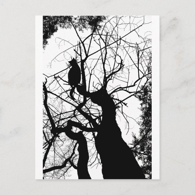 POSTAL KITTY TREE SILHOUETTE B&W (Anverso)