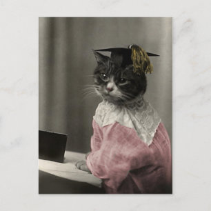 Postal Kitty Valedictorian