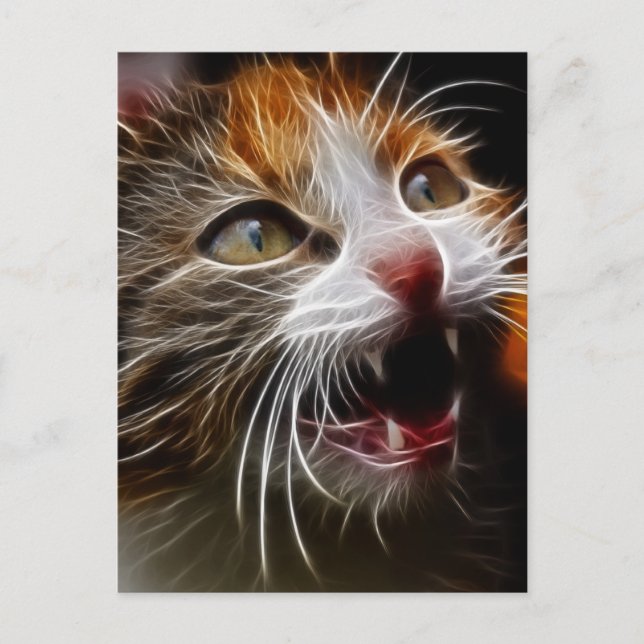 Postal Kitty's Hungry (Anverso)