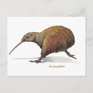Postal kiwi