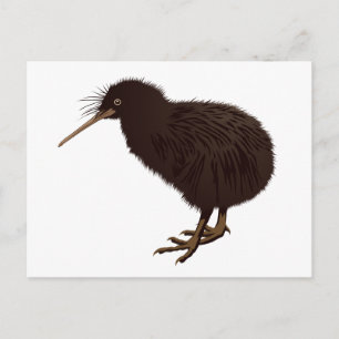 Postal Kiwi Bird