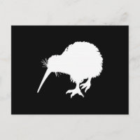 Kiwi Bird