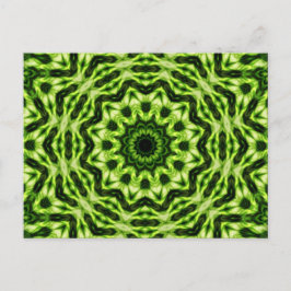 Postal Kiwi Kaleidoscope