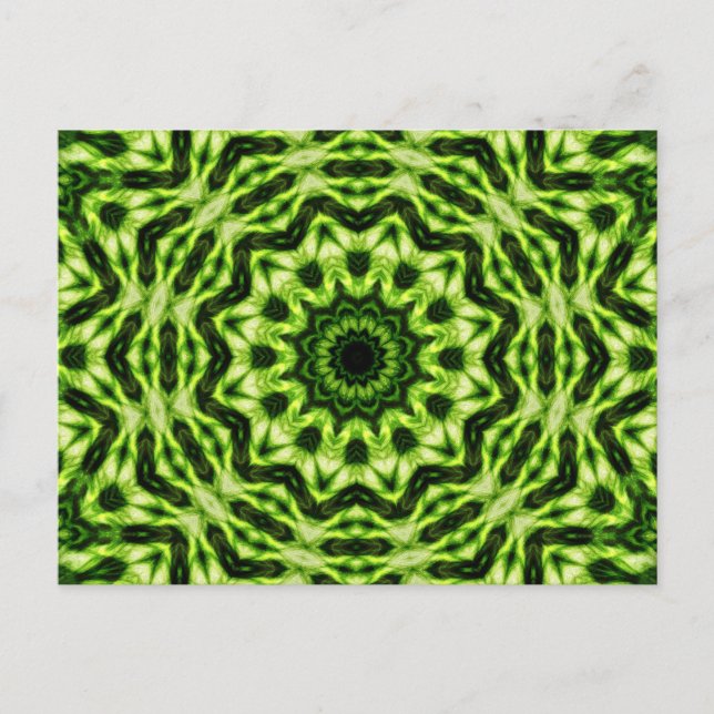 Postal Kiwi Kaleidoscope (Anverso)