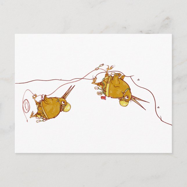Postal Kiwi NZ BIRDS ROCK CLIMBING (Anverso)