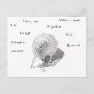 Postal Kiwi sale a dar un paseo