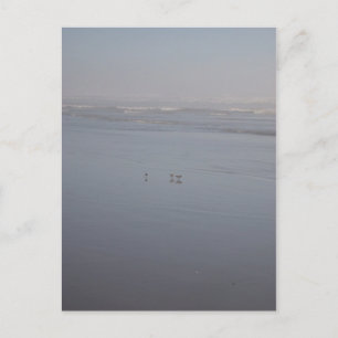 Postal Klalaoch & Birds