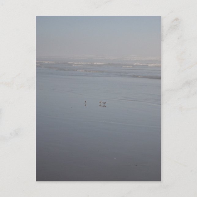 Postal Klalaoch & Birds (Anverso)