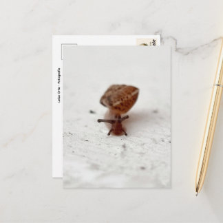 Postal Kleine Reise – Schnecke auf hellem Grund