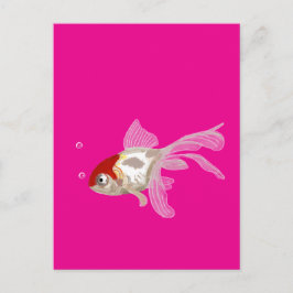 Postal Kleiner Goldfisch - 
