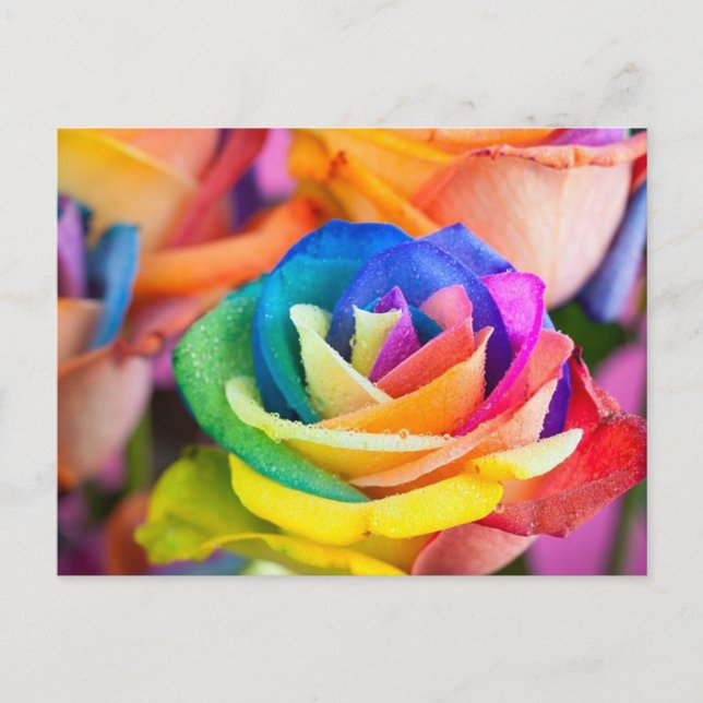 Postal kleuren bloem (Anverso)