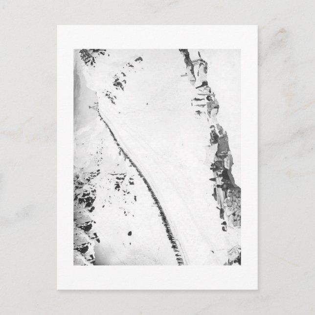 Postal Klondikers de Alaska (Anverso)