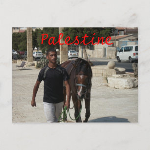 Postal Knight palestino