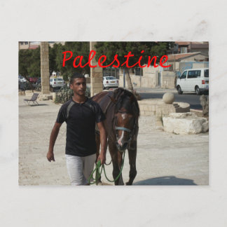 Postal Knight palestino