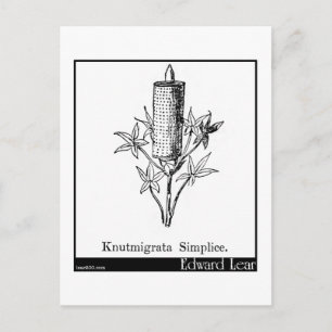 Postal Knutmigrata Simplice.