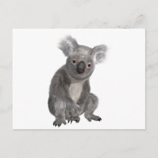 Postal Koala