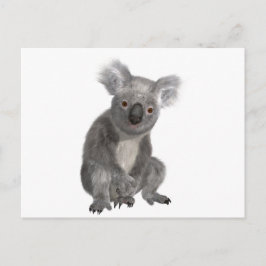 Postal Koala
