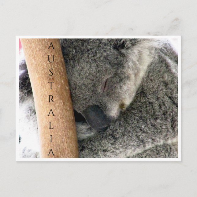 Postal koala australia (Anverso)